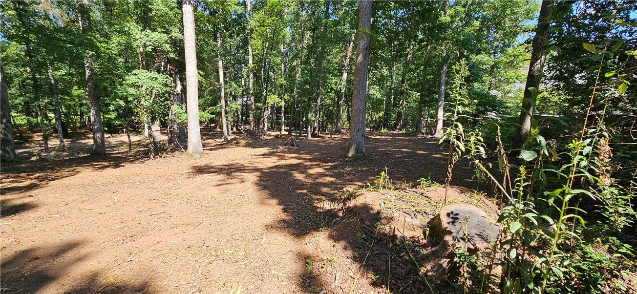 Lot 11 Thornehill Drive Anderson, SC 29621 - Photo 12 of 15