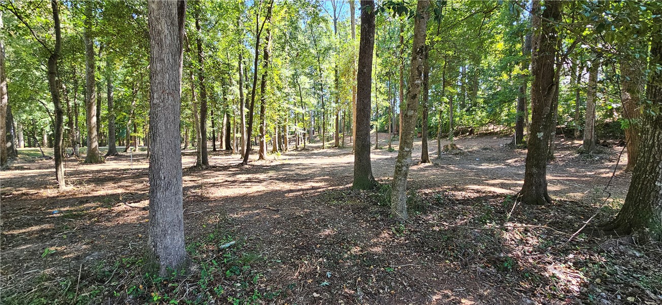 Lot 11 Thornehill Drive Anderson, SC 29621 - Photo 5 of 15