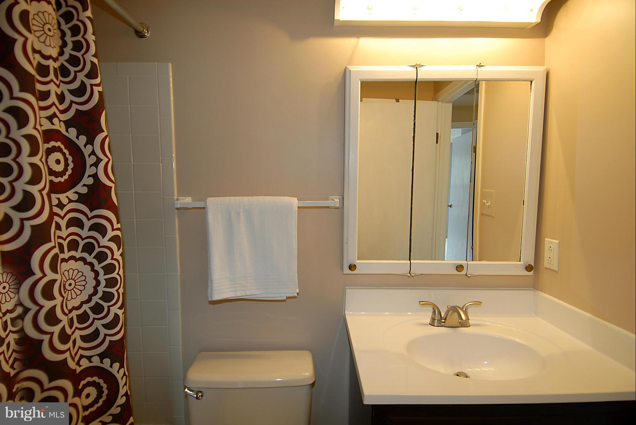 11906 Fieldthorn Court Reston, VA 20194 - Photo 18 of 30 Bath (Master)