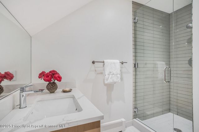 a bathroom with a sink and a shower