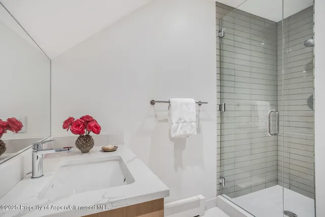 a bathroom with a sink and a shower