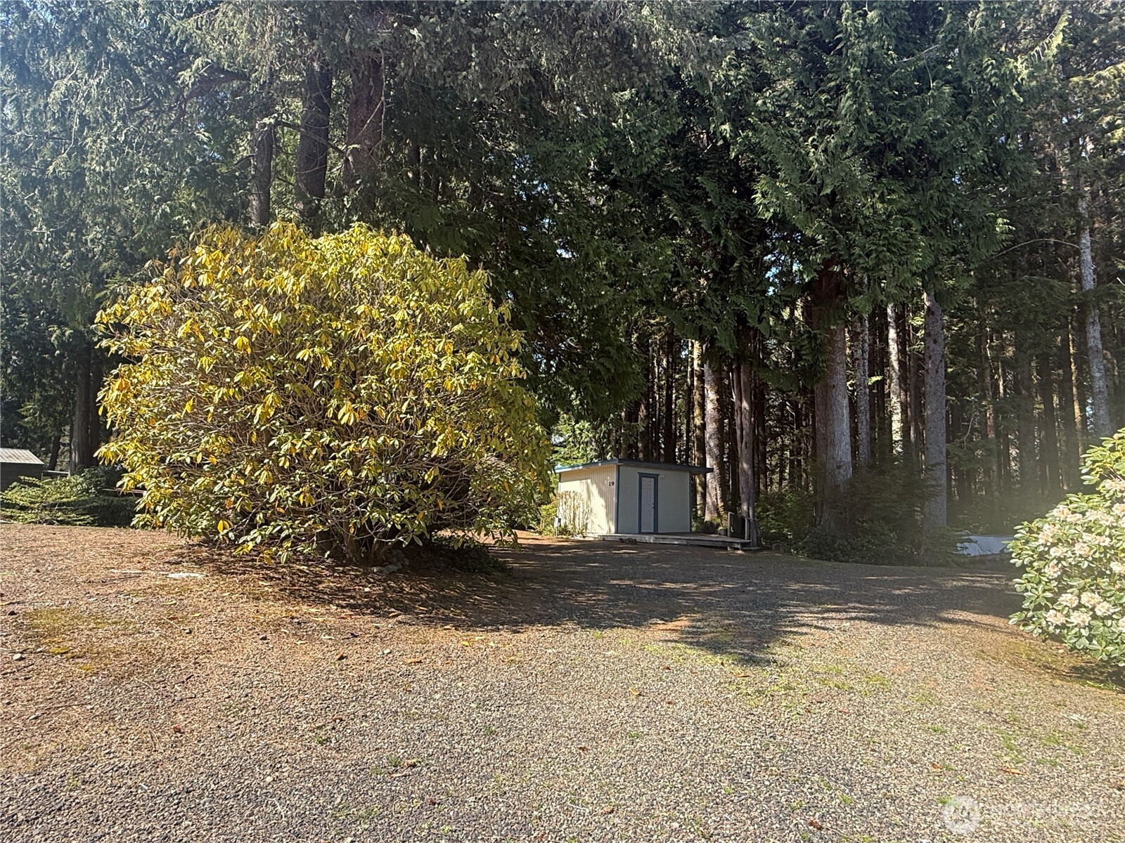 19 Copalis Rv Lane Copalis Beach, WA 98535 - Photo 3 of 30 Gallery Image 3