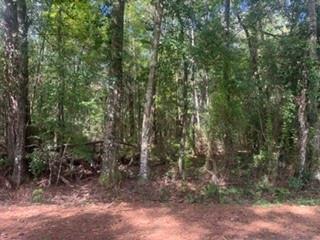 0 Lock Road, Unit 2 Bush, LA 70431 - Photo 2 of 3 Gallery Image 2
