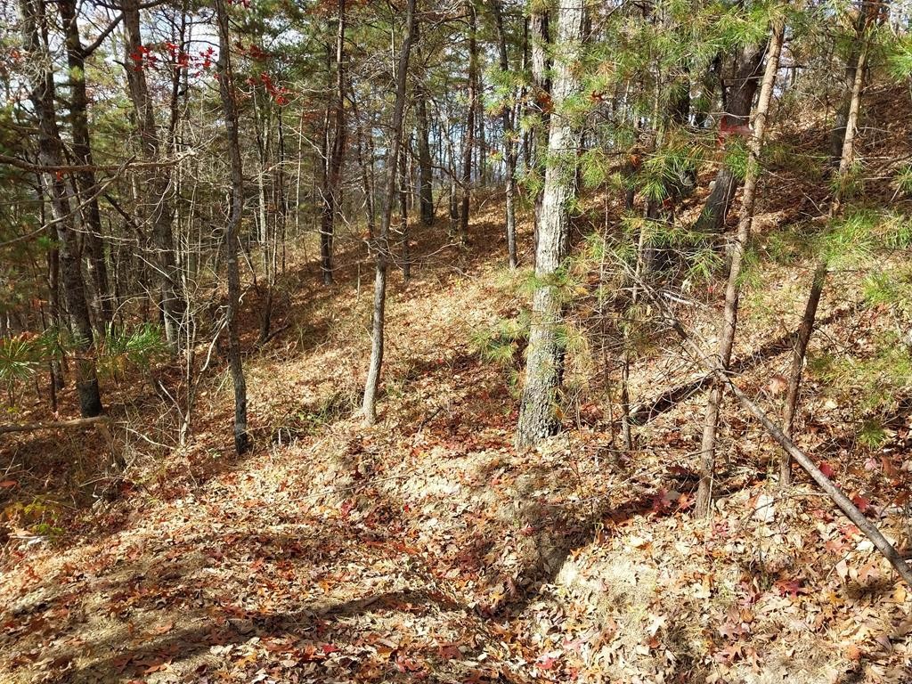 4 Happy Hollow Road Sevierville, TN 37862 - Photo 19 of 37 Gallery Image 19