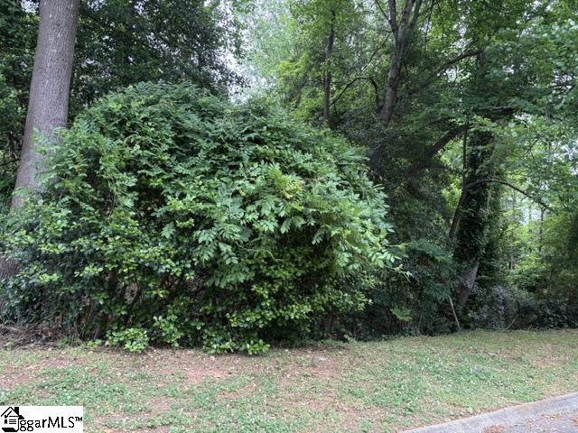 112 Sandpiper Lane Greenville, SC 29607 - Photo 41 of 43