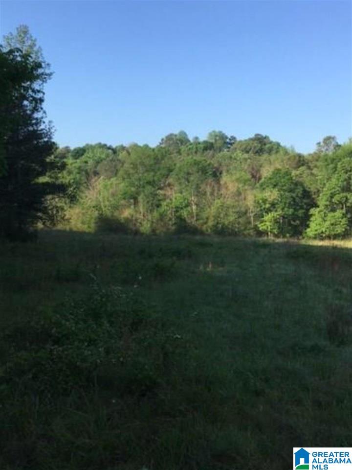 0 Marsh Drive Cleveland, AL 35049 - Photo 9 of 11