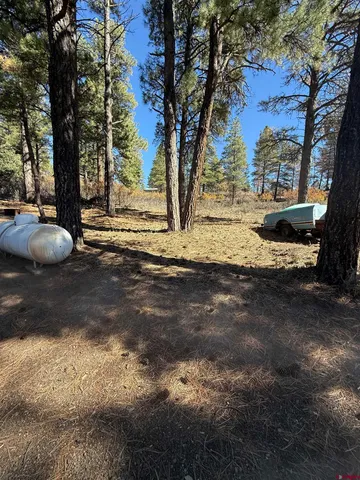 $199,000 | 239 West Simmons Drive, Pagosa Springs, CO 81147