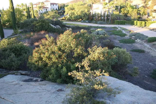a view of a dry yard with lots of green space