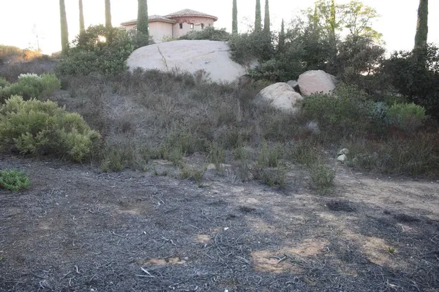 a view of a patio with table and chairs potted plants