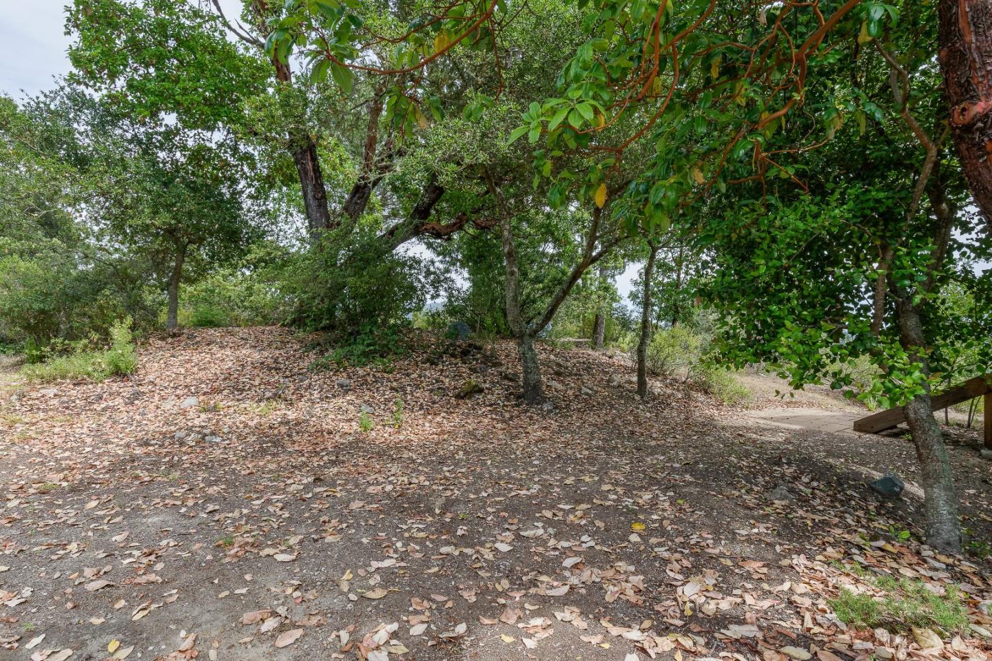 250 Quail Ridge Road Scotts Valley, CA 95066 - Photo 33 of 42 Gallery Image 33