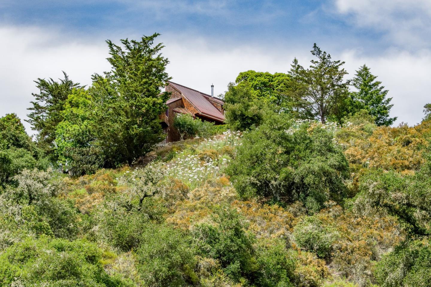 250 Quail Ridge Road Scotts Valley, CA 95066 - Photo 9 of 42 Gallery Image 9