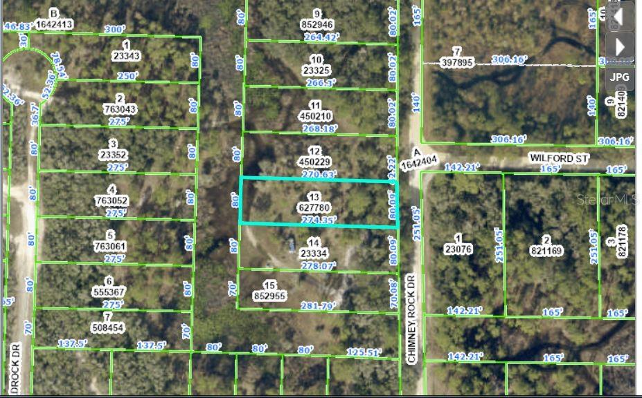 Chimney Rock Drive Webster, FL 33597 - Photo 1 of 6