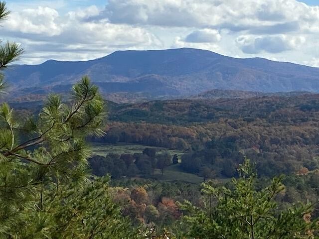 260 Deer Ridge Trail Ocoee, TN 37361 - Photo 23 of 72 a view of a dry yard with mountains in the background
