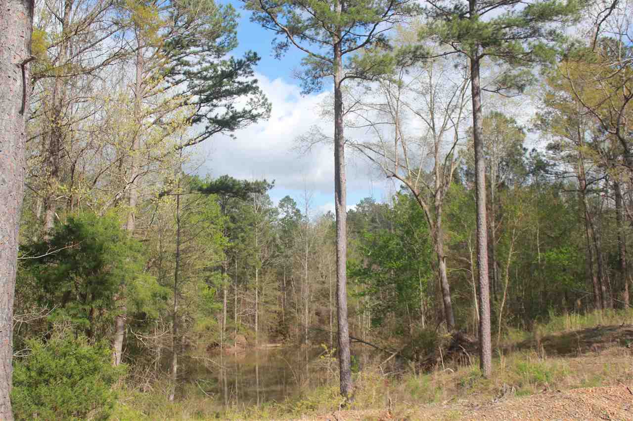 2703 Musgray Road Waterford, MS 38685 - Photo 11 of 24 Gallery Image 11