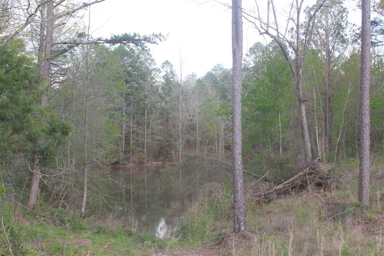 2703 Musgray Road Waterford, MS 38685 - Photo 12 of 24 Gallery Image 12