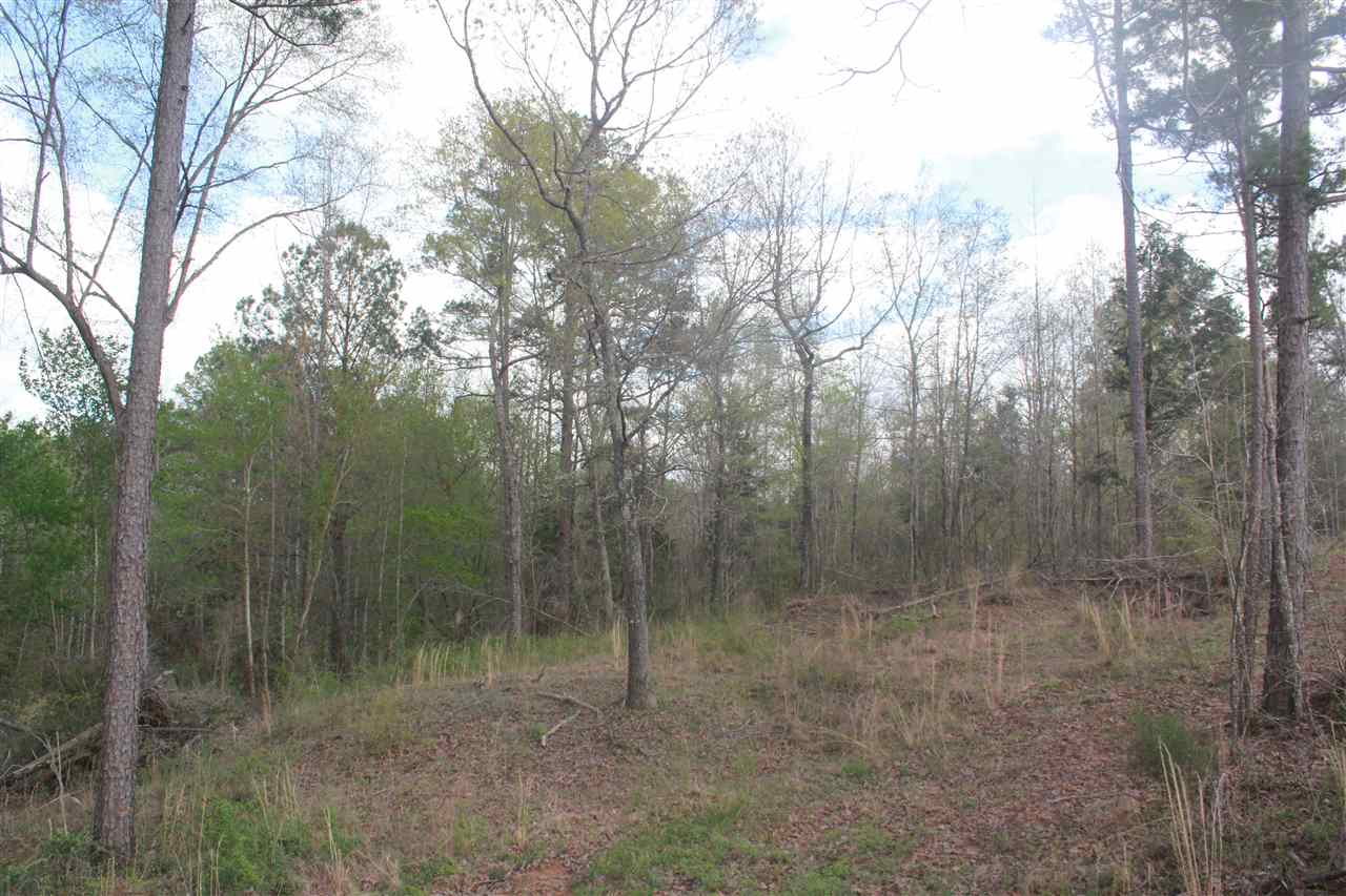 2703 Musgray Road Waterford, MS 38685 - Photo 13 of 24 Gallery Image 13