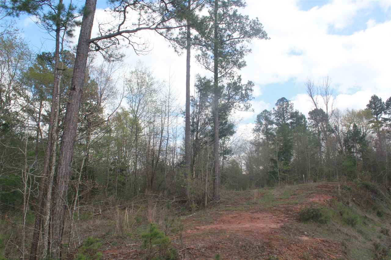 2703 Musgray Road Waterford, MS 38685 - Photo 14 of 24 Gallery Image 14
