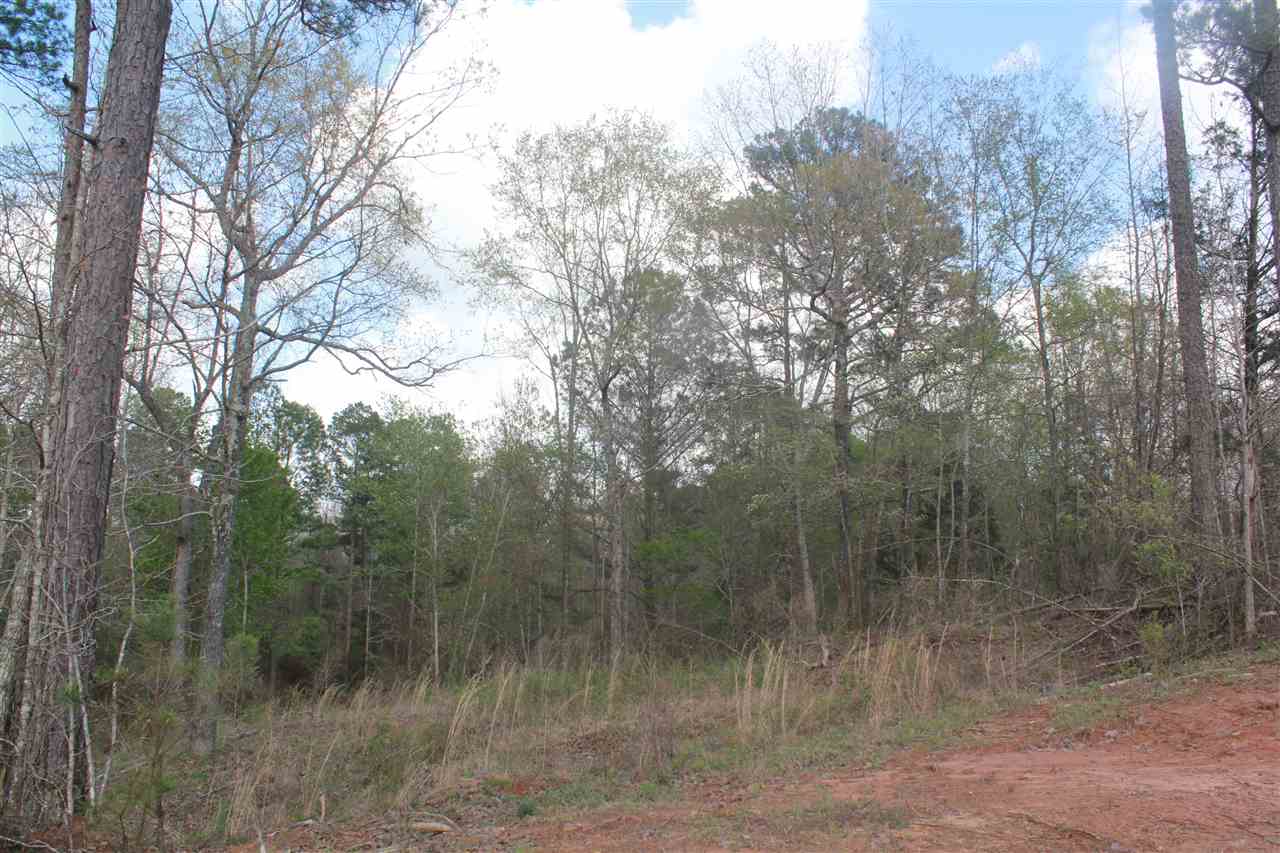 2703 Musgray Road Waterford, MS 38685 - Photo 15 of 24 Gallery Image 15