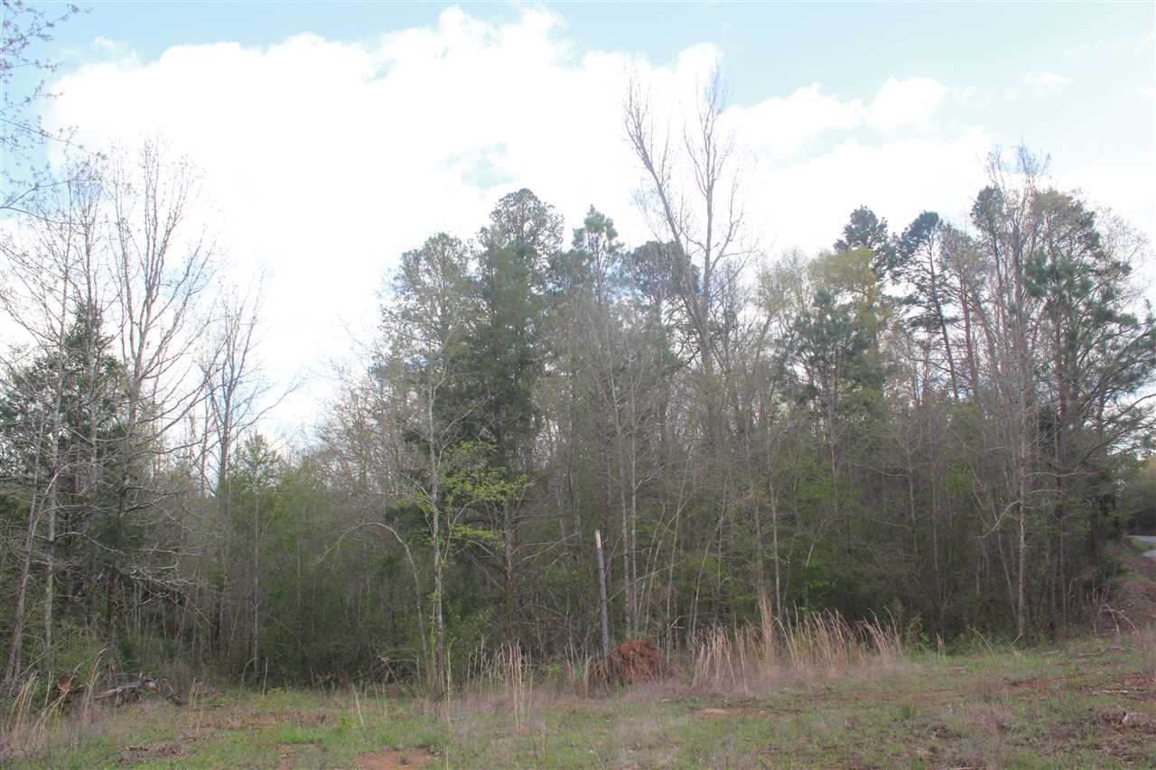 2703 Musgray Road Waterford, MS 38685 - Photo 16 of 24 Gallery Image 16