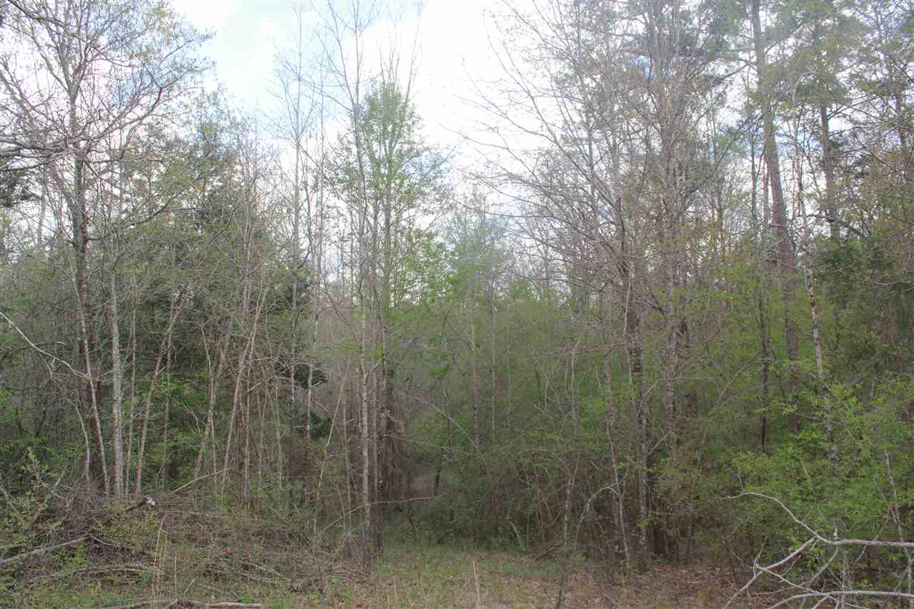 2703 Musgray Road Waterford, MS 38685 - Photo 18 of 24 Gallery Image 18