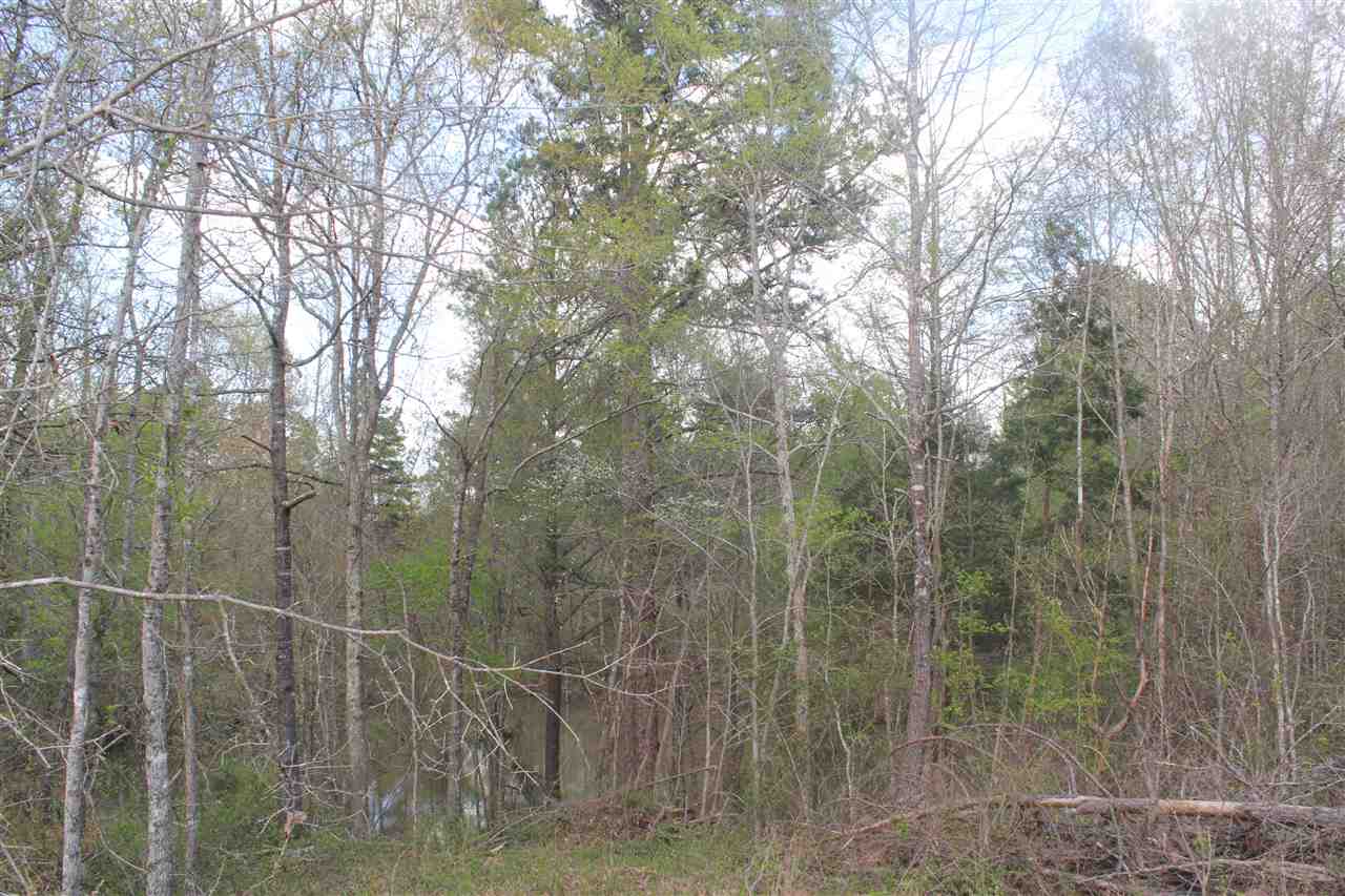 2703 Musgray Road Waterford, MS 38685 - Photo 19 of 24 Gallery Image 19