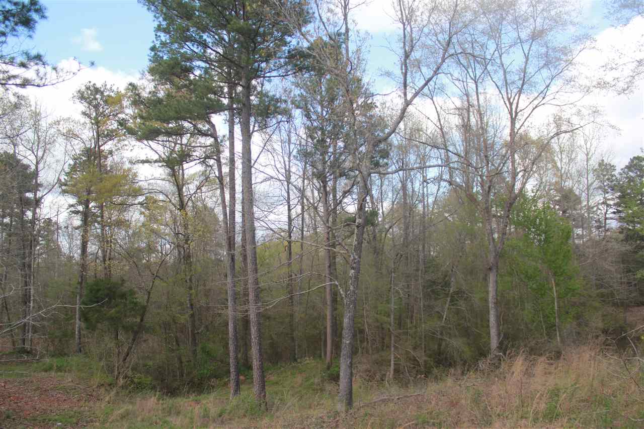 2703 Musgray Road Waterford, MS 38685 - Photo 20 of 24 Gallery Image 20