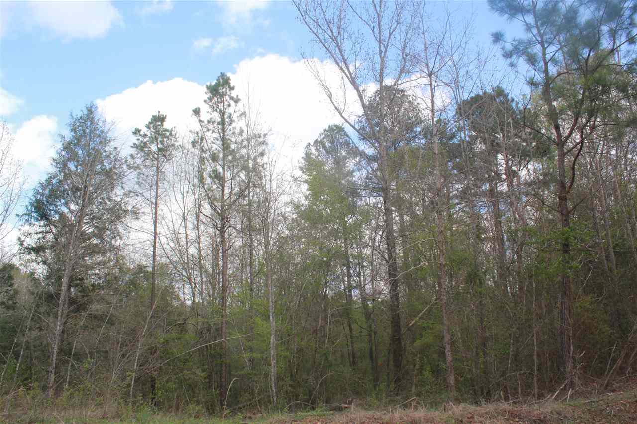 2703 Musgray Road Waterford, MS 38685 - Photo 21 of 24 Gallery Image 21