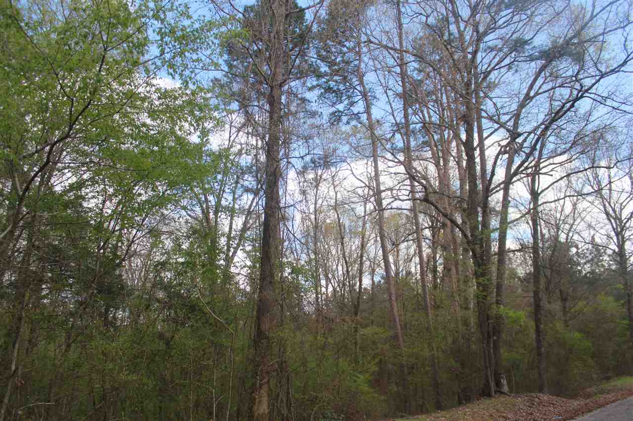 2703 Musgray Road Waterford, MS 38685 - Photo 22 of 24 Gallery Image 22