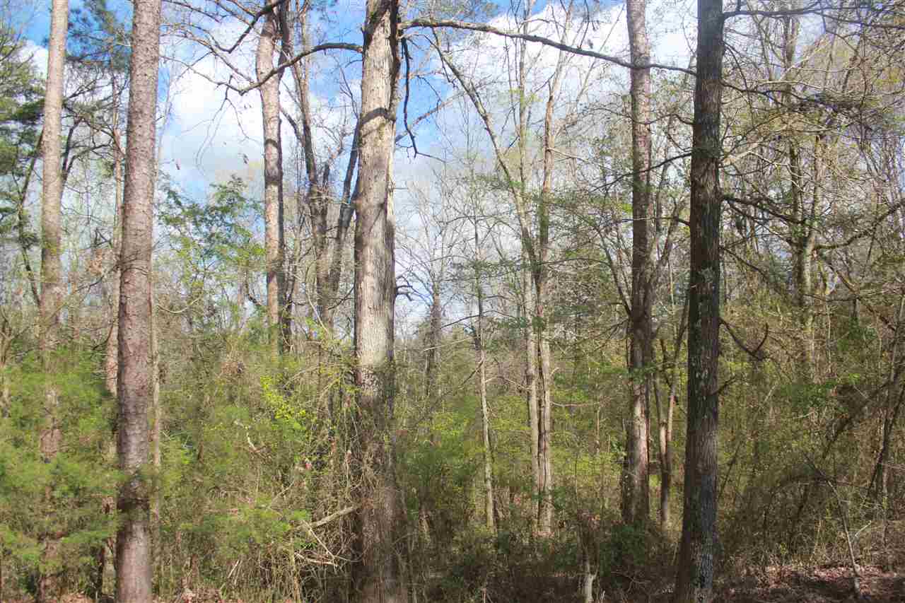 2703 Musgray Road Waterford, MS 38685 - Photo 23 of 24 Gallery Image 23
