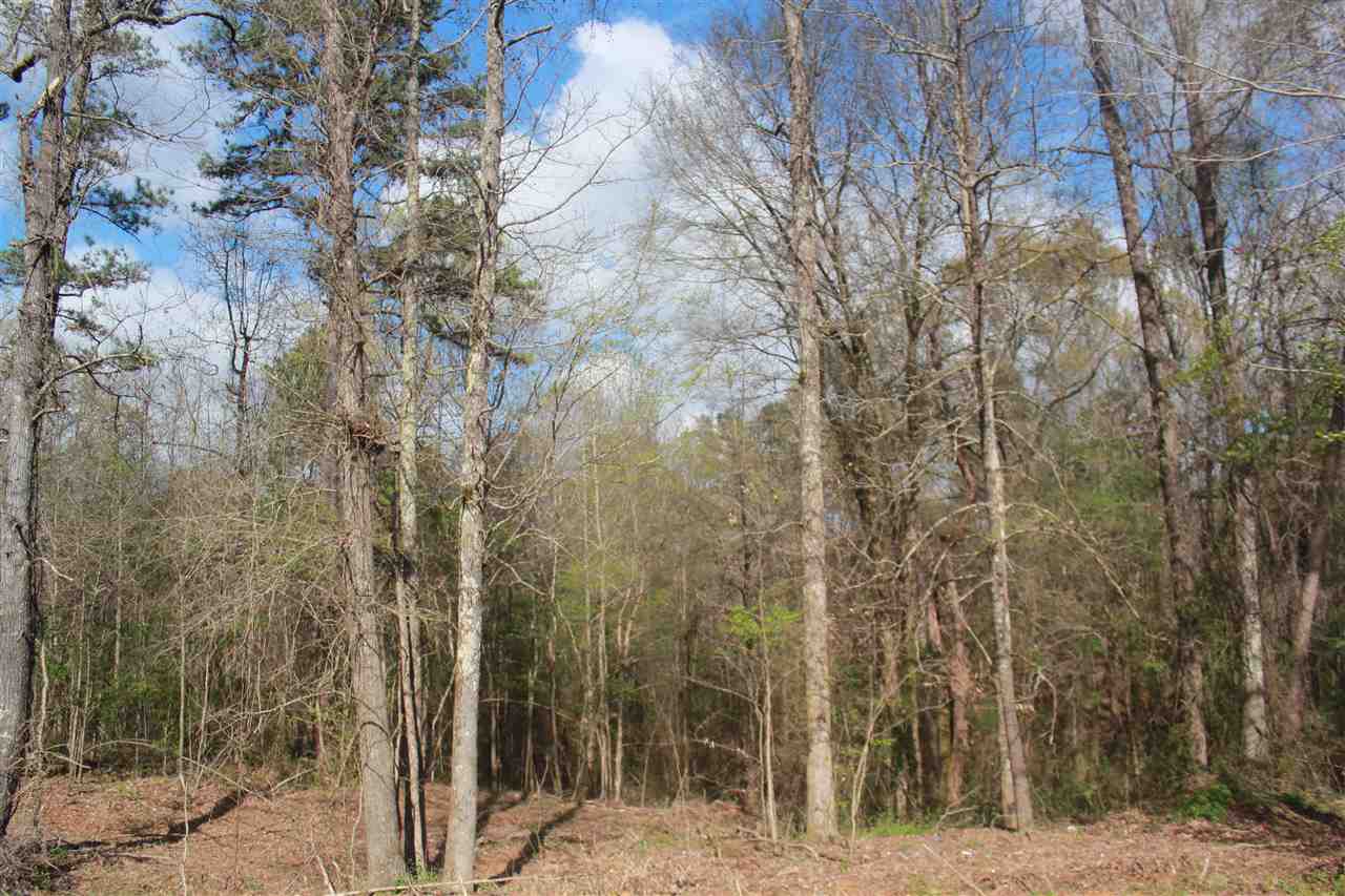 2703 Musgray Road Waterford, MS 38685 - Photo 9 of 24 Gallery Image 9