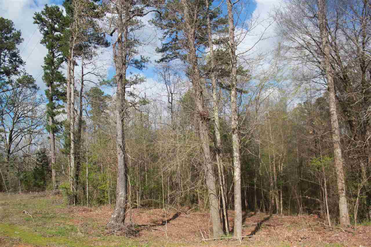 2703 Musgray Road Waterford, MS 38685 - Photo 10 of 24 Gallery Image 10