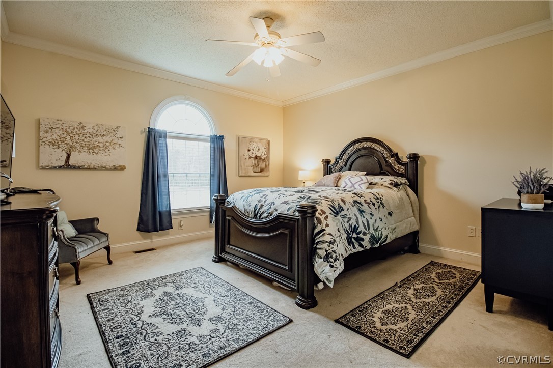 6809 West Quaker Road Disputanta, VA 23842 - Photo 25 of 49 a bedroom with a bed a dresser and potted plant
