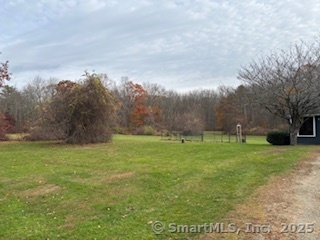 175 Pine Street Columbia, CT 06237 - Photo 6 of 29 a backyard of a house with lots of green space