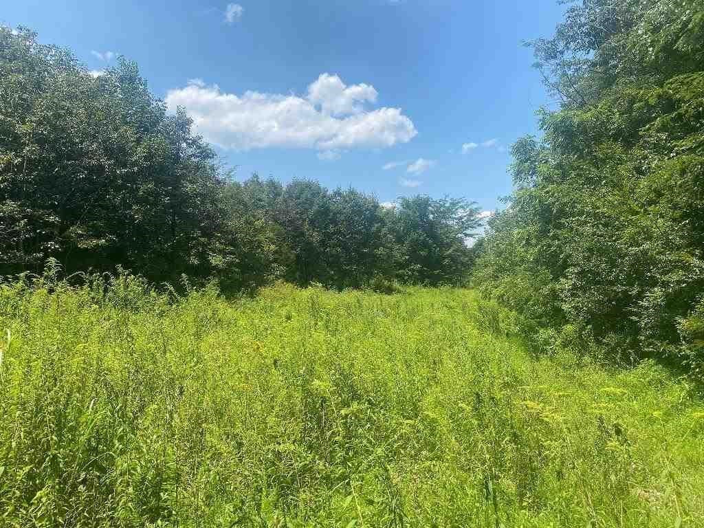 Lot 11 Hamilton-lee Road Lewisburg, KY 42256 - Photo 28 of 44 Gallery Image 28