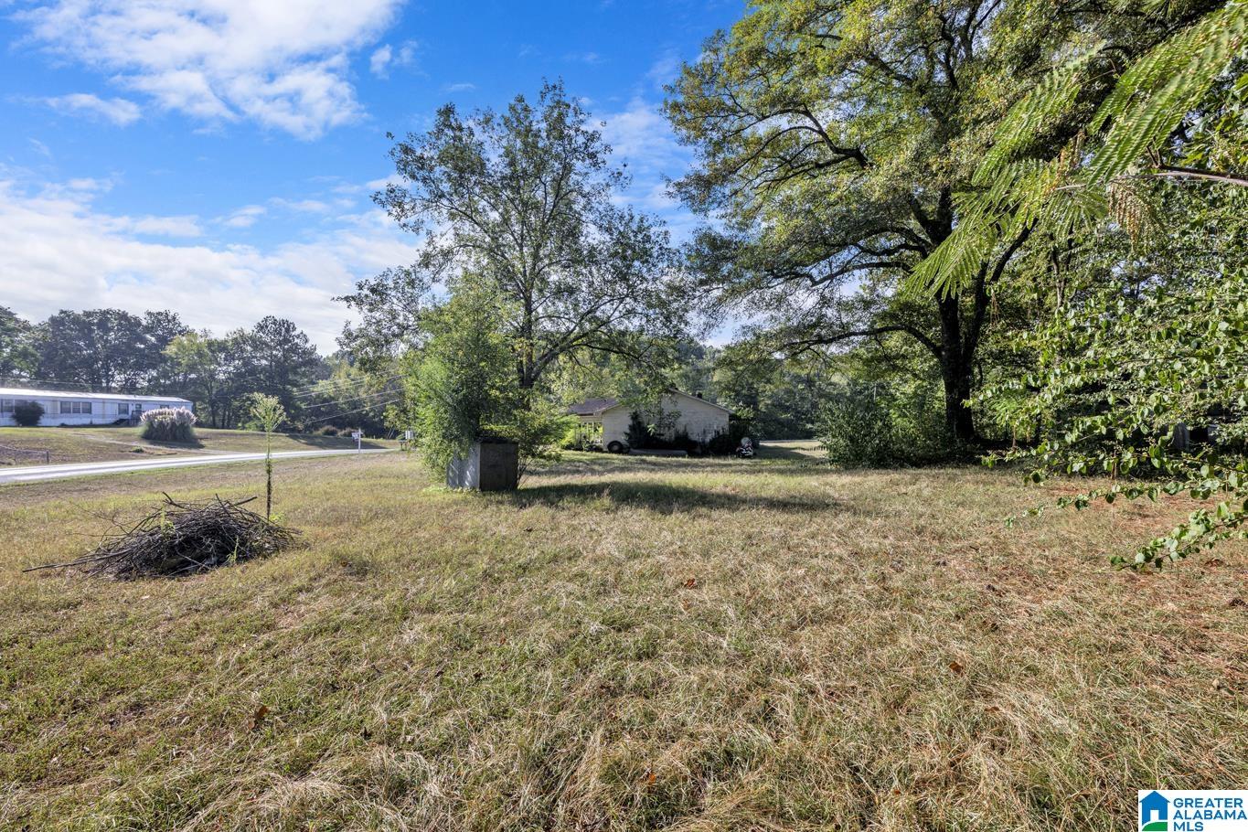 25 Ricetown Road Hayden, AL 35079 - Photo 2 of 12
