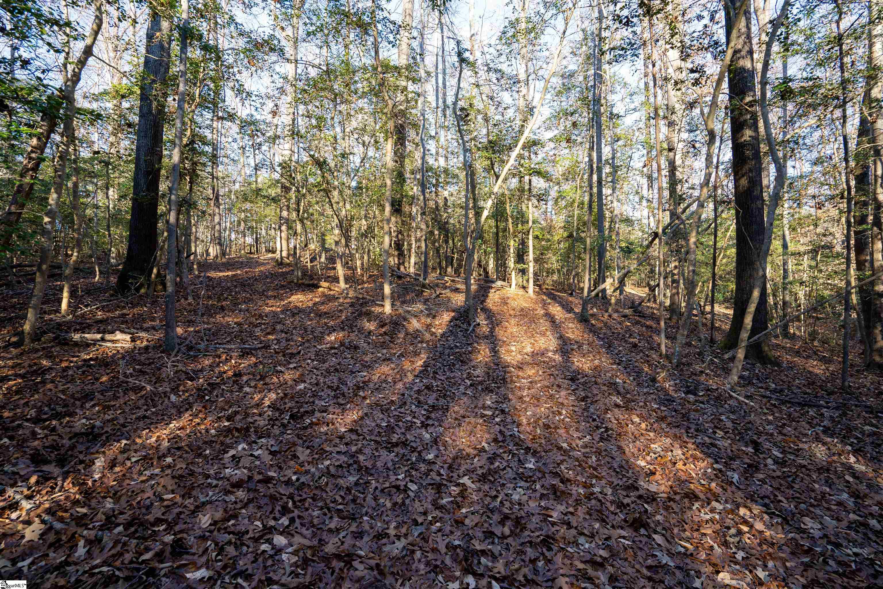 19 Carolina Way Fountain Inn, SC 29644 - Photo 35 of 36 W/ Walking Paths to Creek