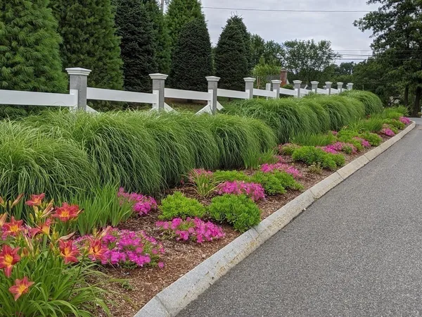 a view of a garden with flowers and trees