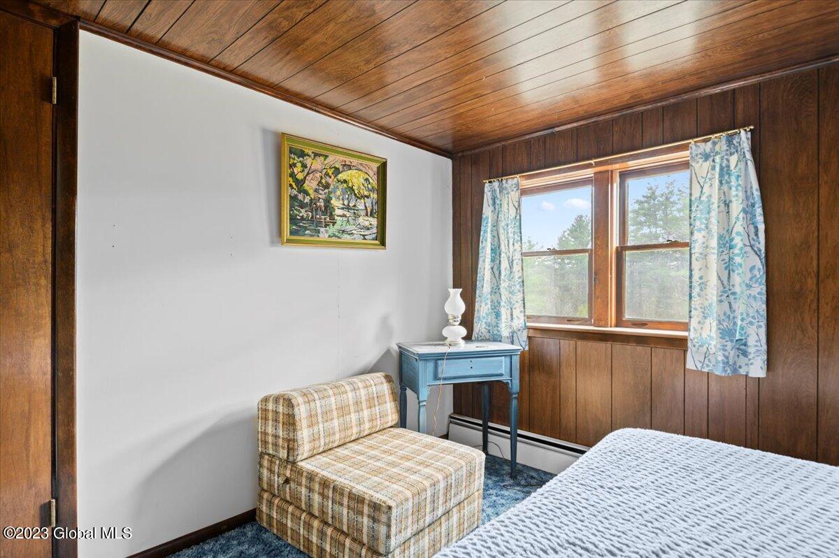 46 May Road Chester, NY 12817 - Photo 23 of 36 17-FJD_8592