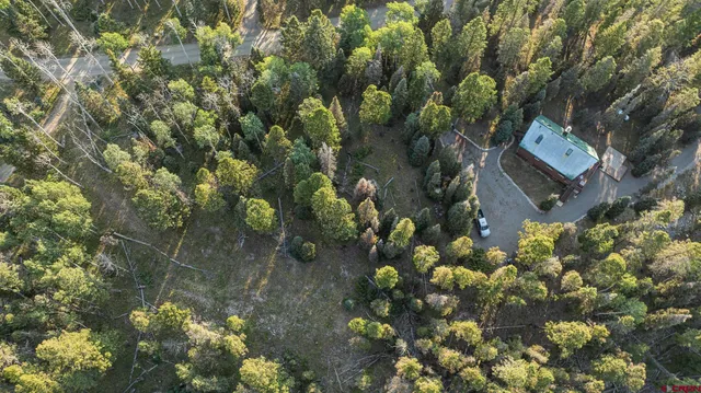 a big yard with lots of green space and deers