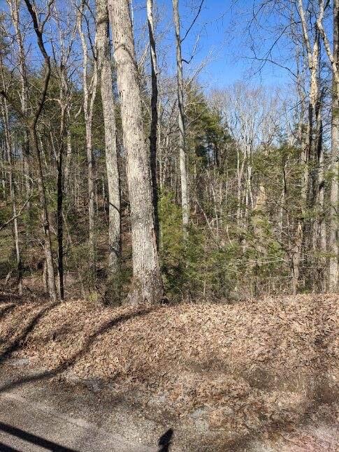 Lot 7 Mount Pleasant Road Vonore, TN 37885 - Photo 1 of 8 IMG-3987