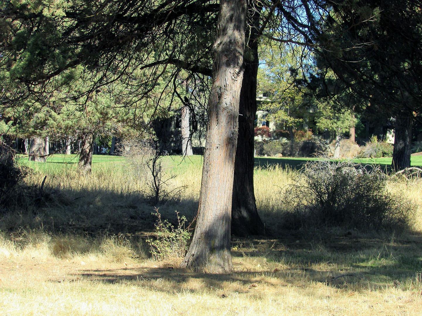 124 Merganser Road Klamath Falls, OR 97601 - Photo 10 of 17 Additional Photo