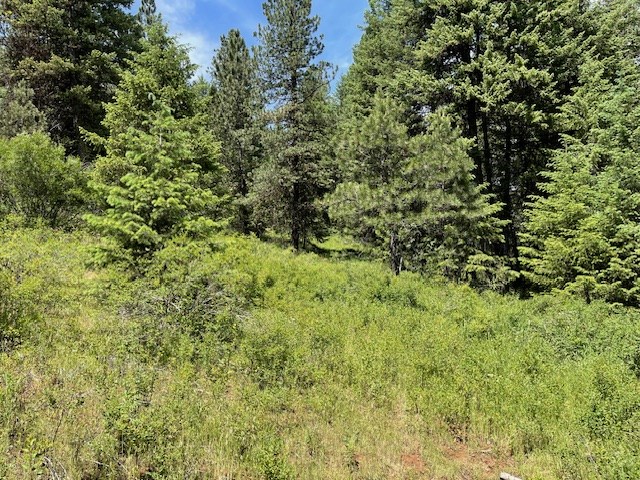 Lot 20 Little Salmon Road, Unit 20 New Meadows, ID 83654 - Photo 2 of 11