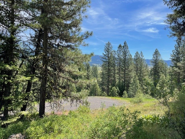 Lot 20 Little Salmon Road, Unit 20 New Meadows, ID 83654 - Photo 5 of 11