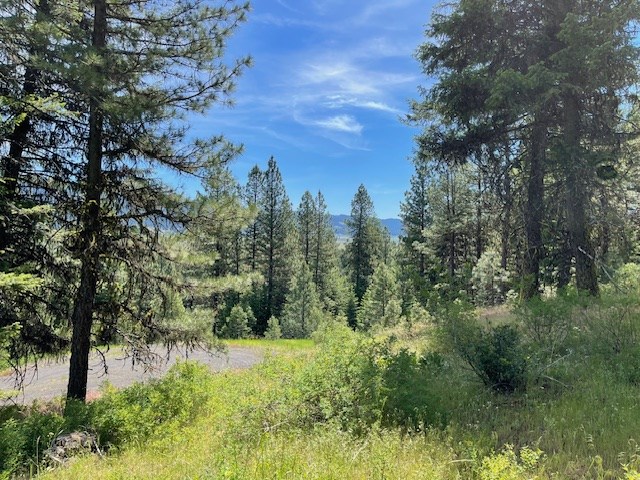 Lot 20 Little Salmon Road, Unit 20 New Meadows, ID 83654 - Photo 6 of 11