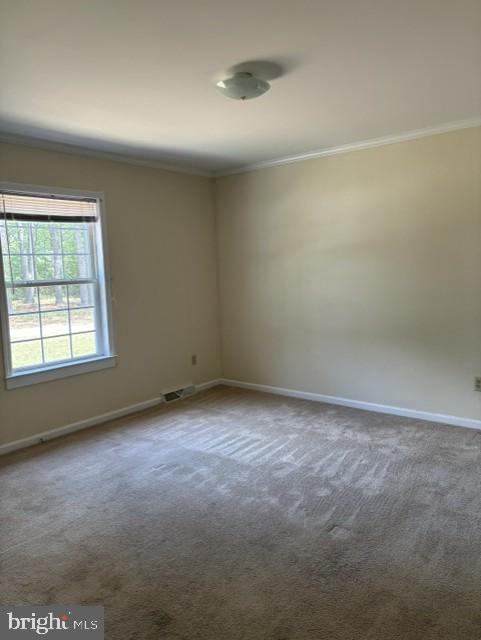 43985 Sandy Bottom Road Hollywood, MD 20636 - Photo 6 of 6