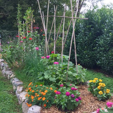 a view of yard covered with snow in front of house