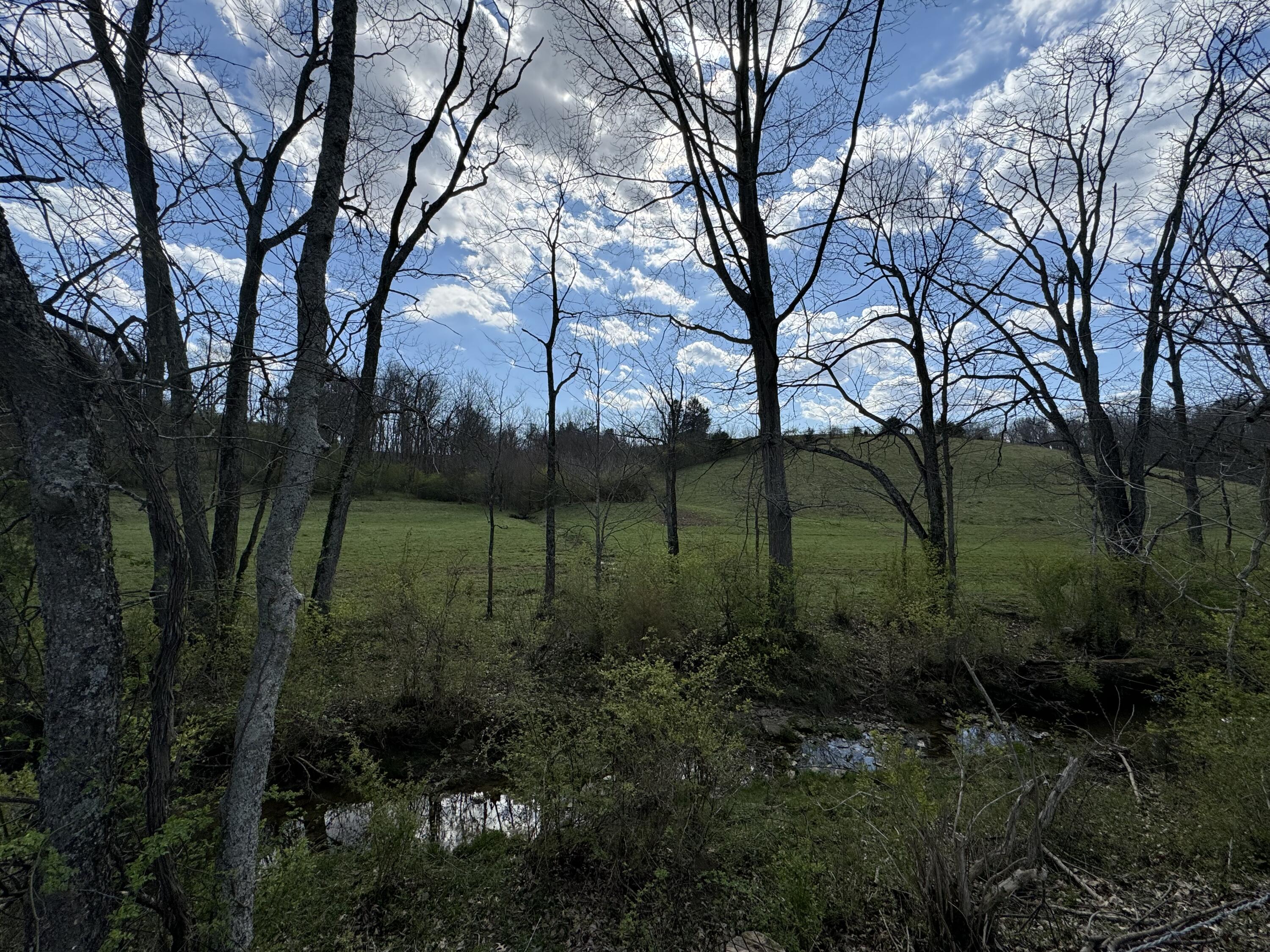 0 Butler Branch Road Flemingsburg, KY 41041 - Photo 26 of 26 IMG_1222