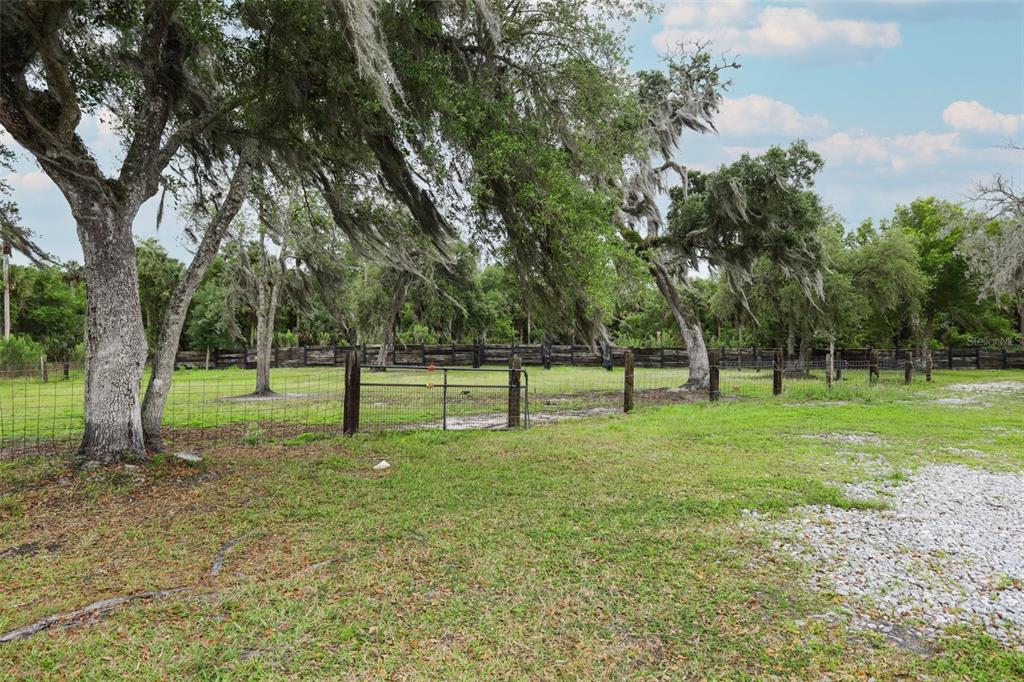 2269 Mullet Lake Park Road Geneva, FL 32732 - Photo 49 of 76 a view of a park with trees