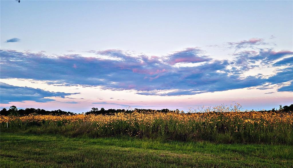 2269 Mullet Lake Park Road Geneva, FL 32732 - Photo 75 of 76 a view of a lake with a mountain