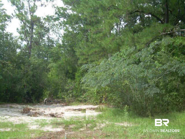 0 South East River Road Silverhill, AL 36576 - Photo 2 of 6